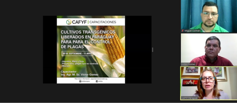 CAFYF capacitó sobre la resistencia de los insectos a insecticidas